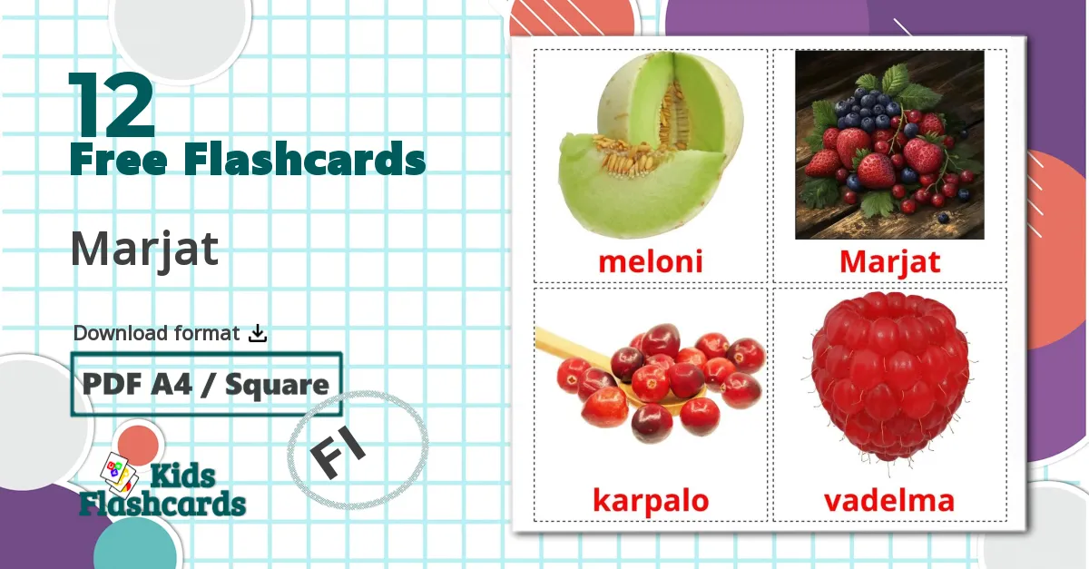 12 Marjat flashcards