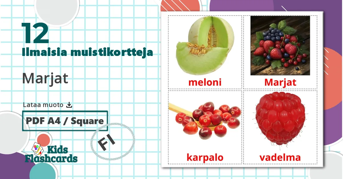 12 Marjat lasten kuvakortit