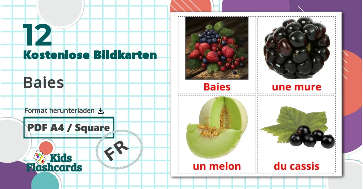 12 Bildkarten für Baies