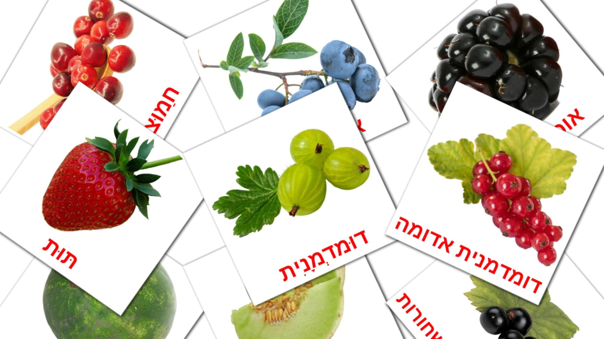 Bildkarten für פירות יער