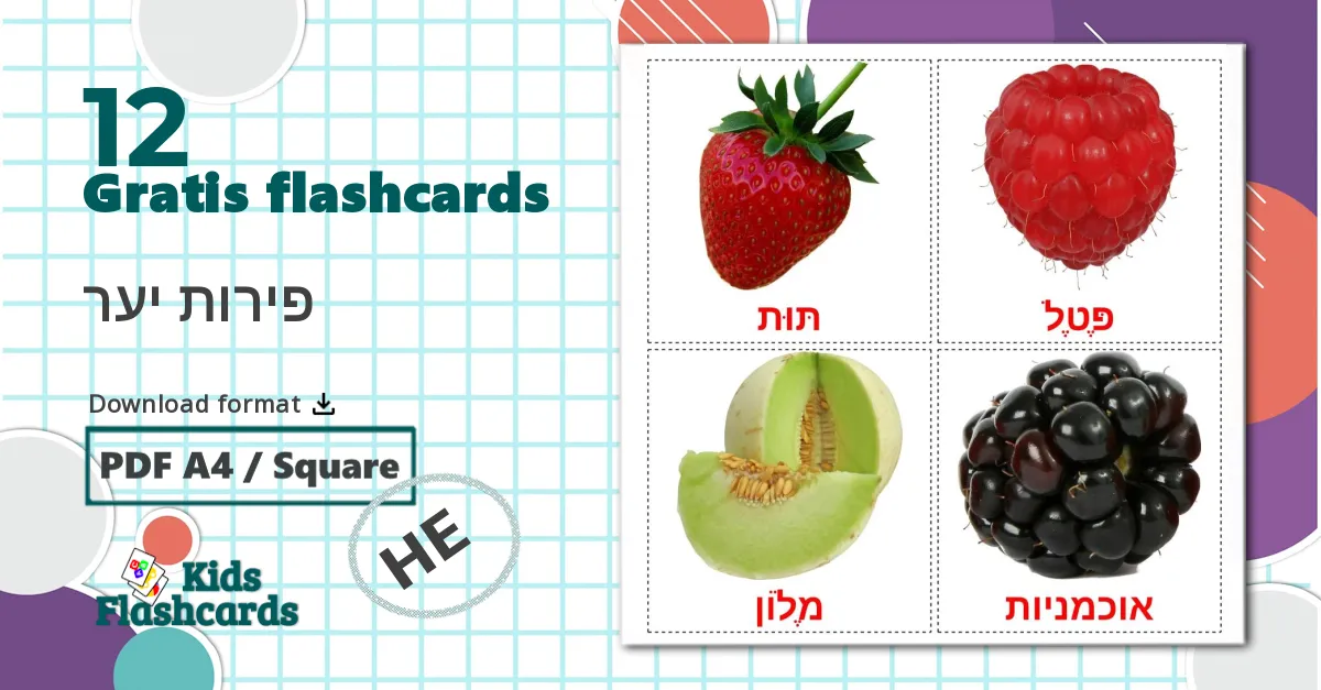 12 פירות יער billedkort for børn