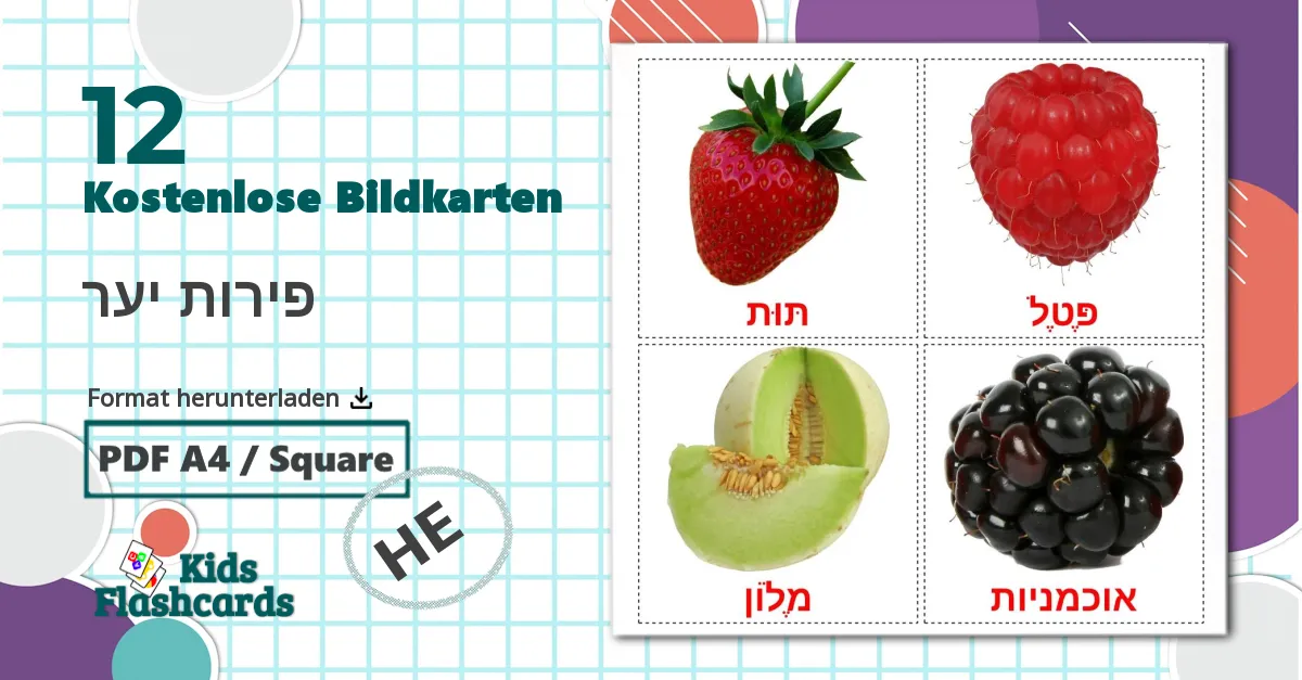 12 Bildkarten für פירות יער