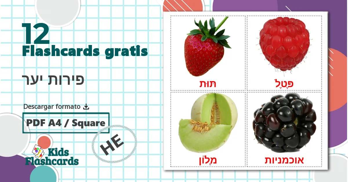 12 tarjetas didacticas de פירות יער