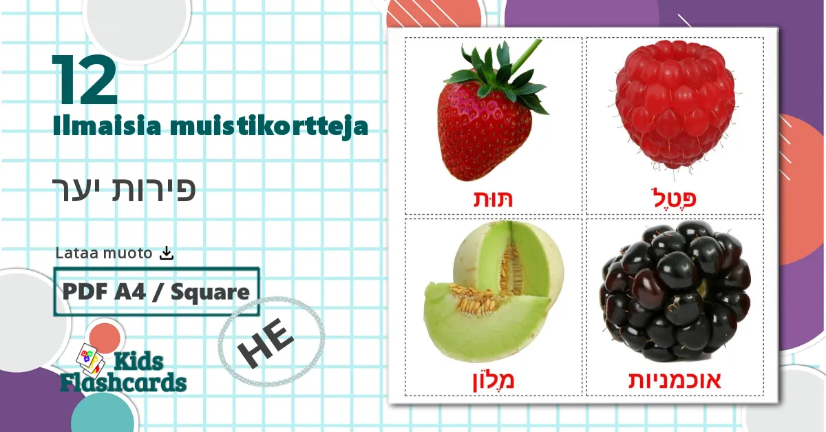12 פירות יער lasten kuvakortit