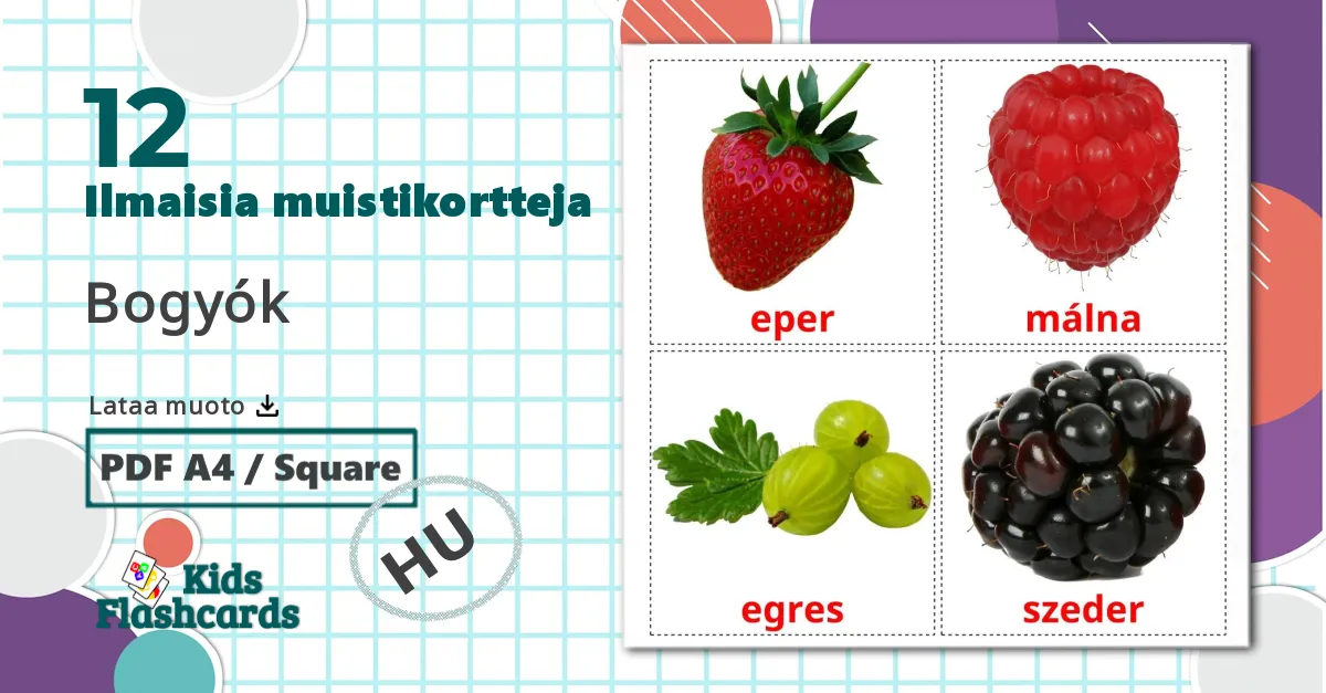 12 Bogyók lasten kuvakortit