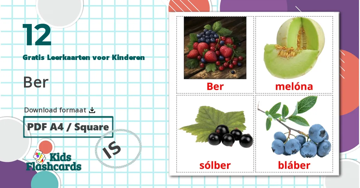12 Ber Leerkaarten voor kinderen