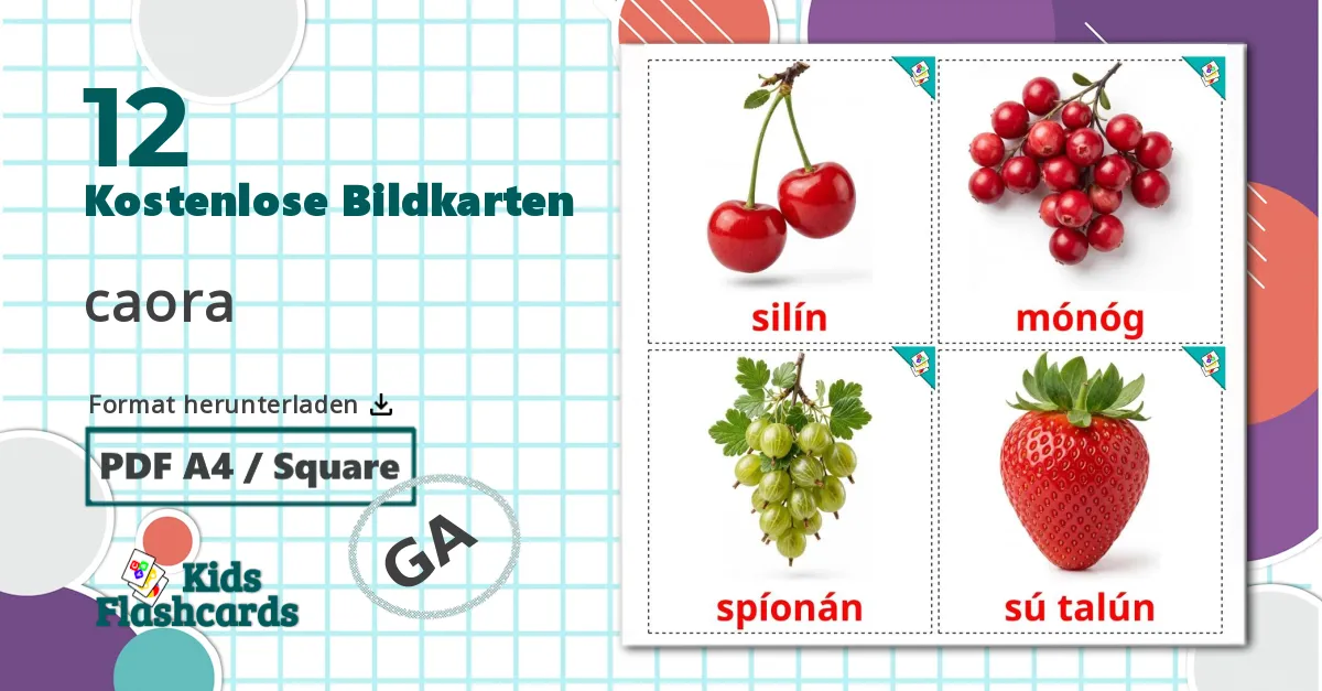 12 Bildkarten für Beerenobst