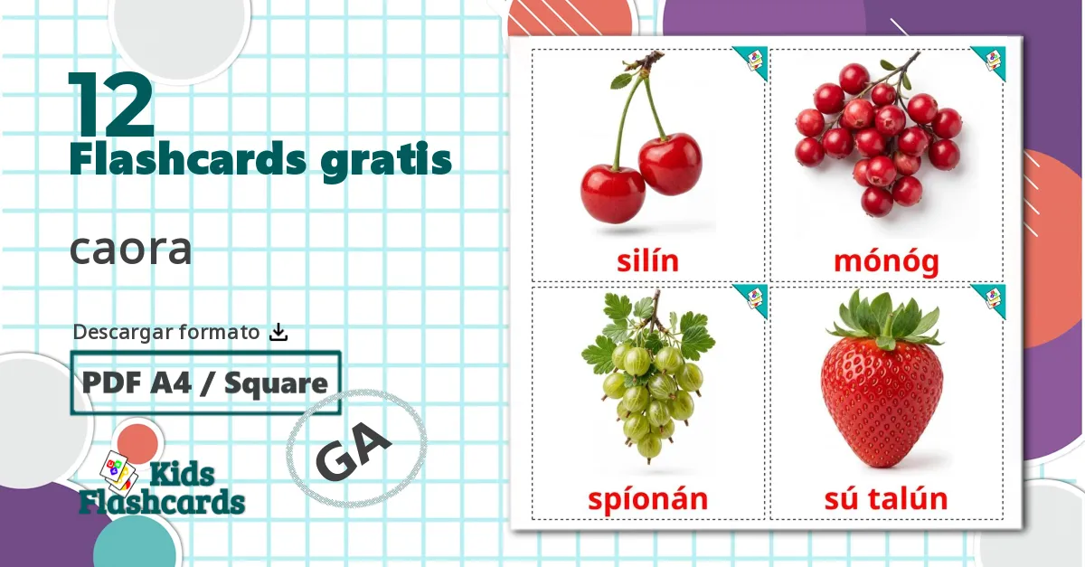 12 tarjetas didacticas de Bayas