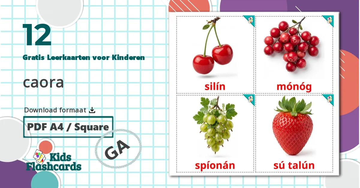 12 Bessen Leerkaarten voor kinderen