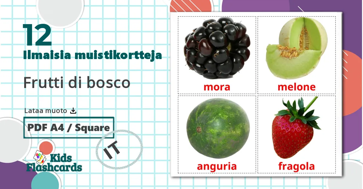 12 Frutti di bosco lasten kuvakortit