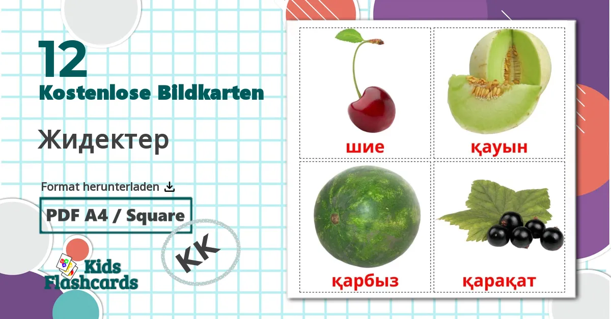 12 Bildkarten für Жидектер