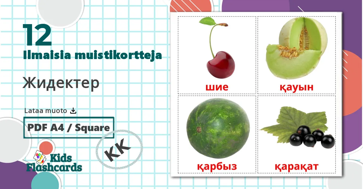 12 Жидектер lasten kuvakortit