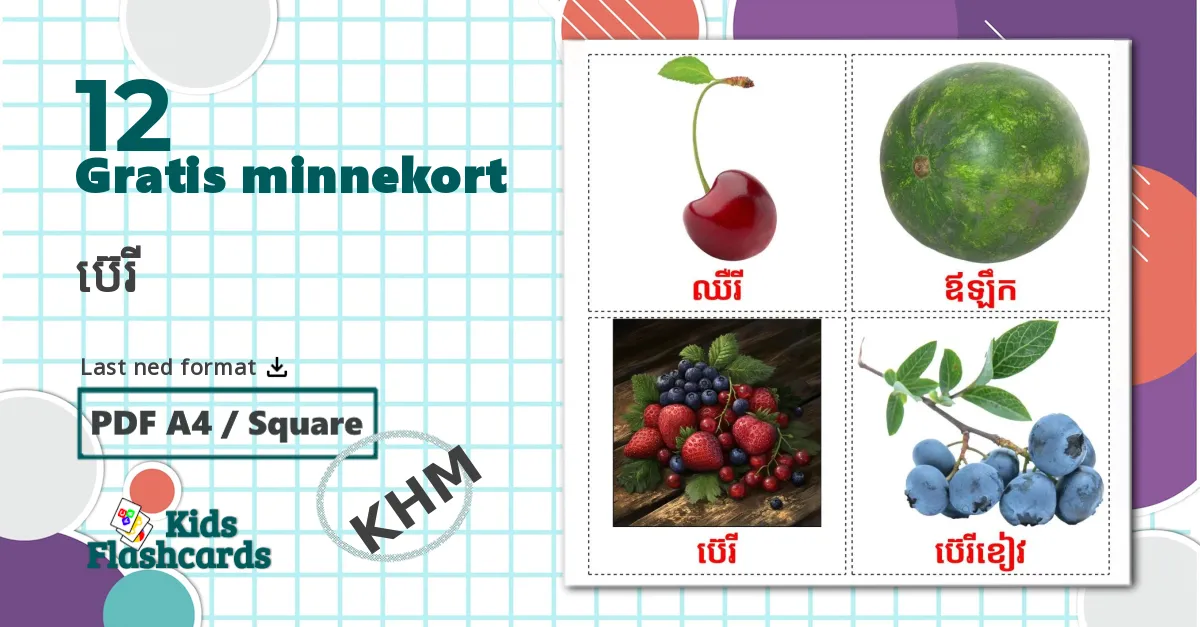 12 ប៊េរី bildekort