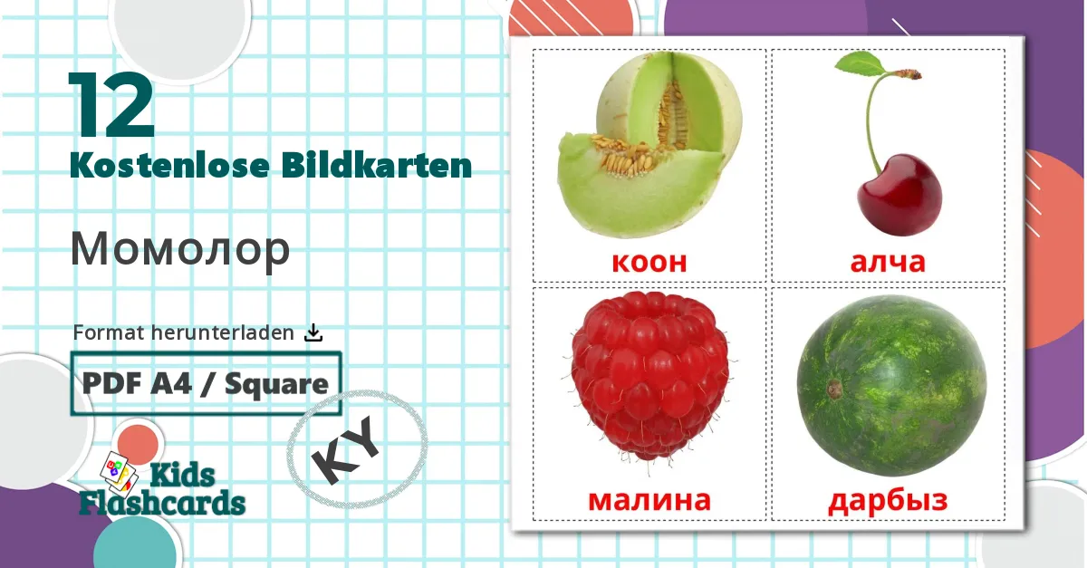 12 Bildkarten für Beerenobst