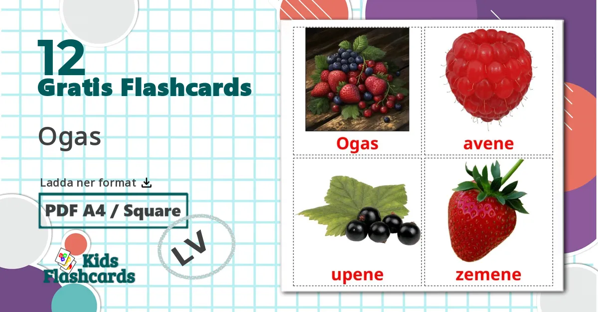 12 Ogas  bildkort för barn