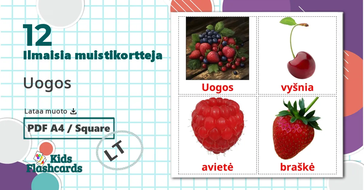 12 Uogos  lasten kuvakortit