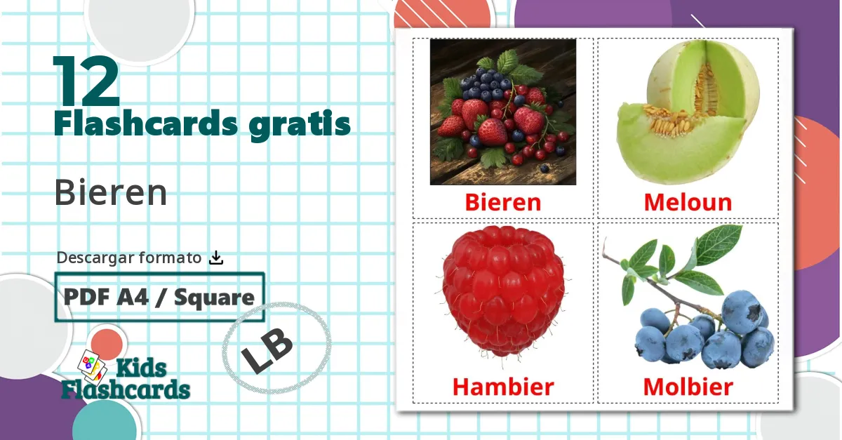 12 tarjetas didacticas de Bayas