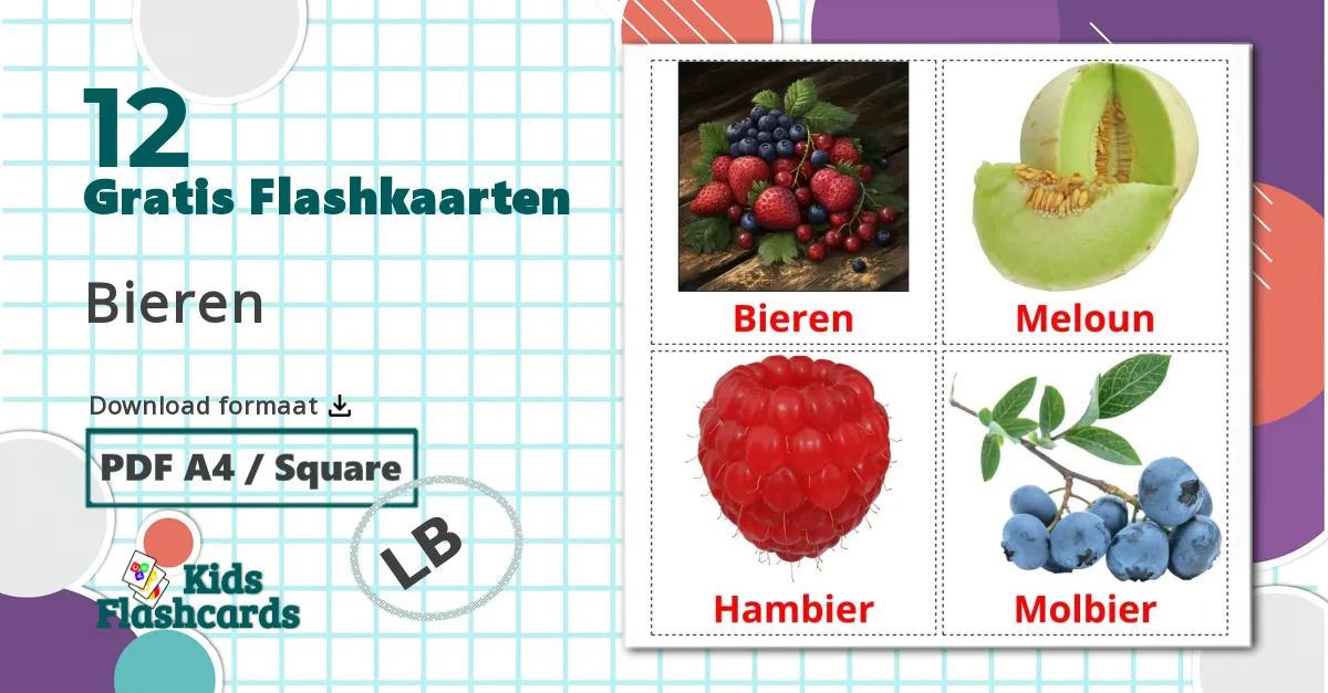 12 Tegenstellingen flashcards
