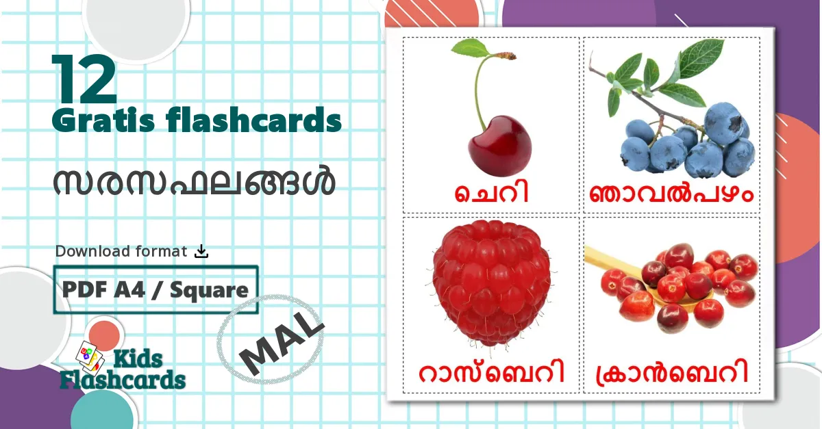 12 സരസഫലങ്ങൾ billedkort for børn