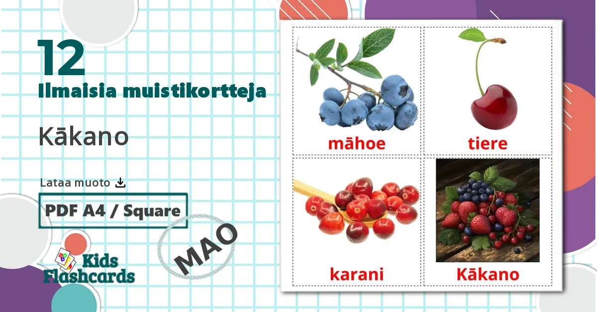 12 Kākano lasten kuvakortit