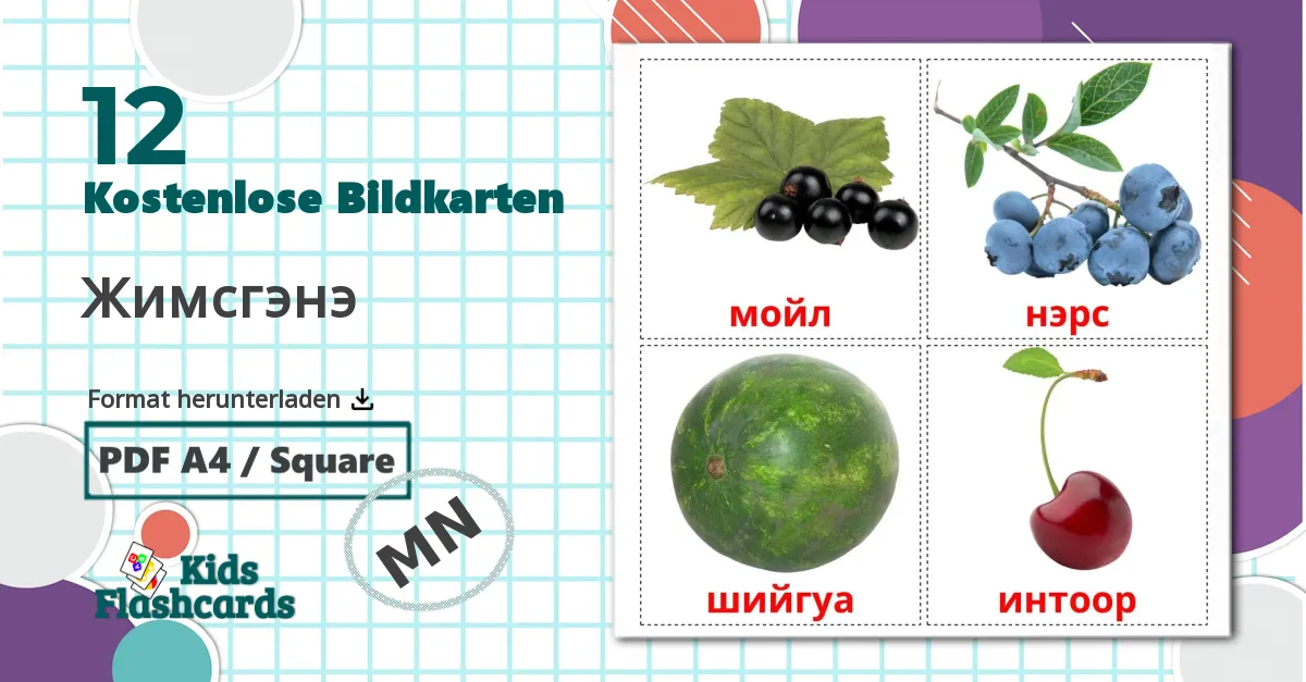 12 Bildkarten für Жимсгэнэ