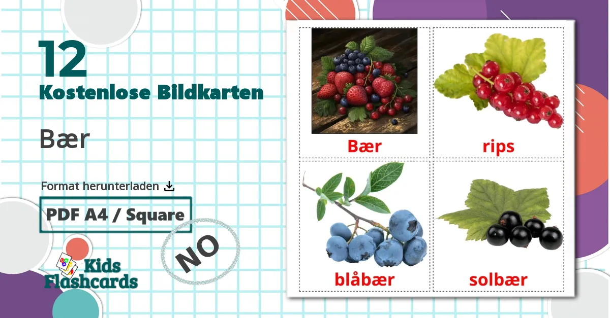 12 Bildkarten für Bær