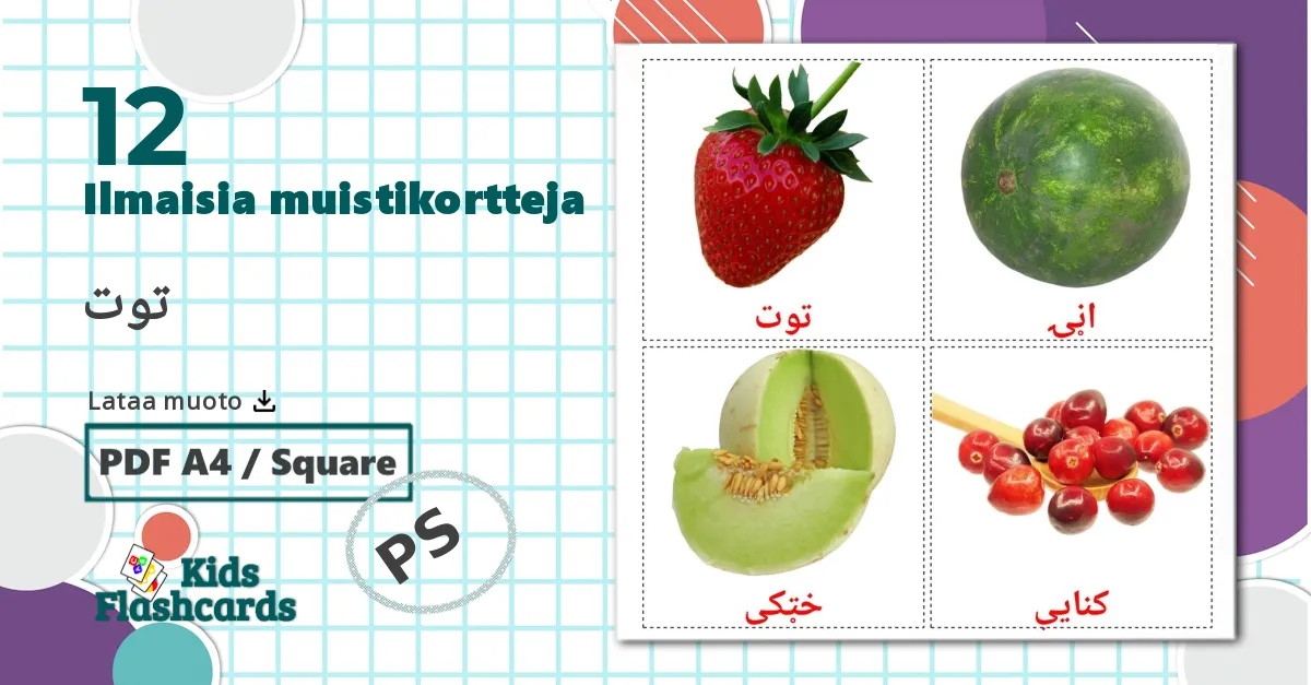 12 توت lasten kuvakortit