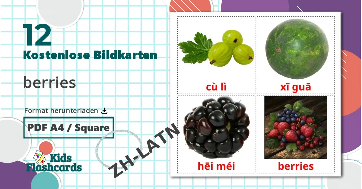 12 Bildkarten für Beerenobst