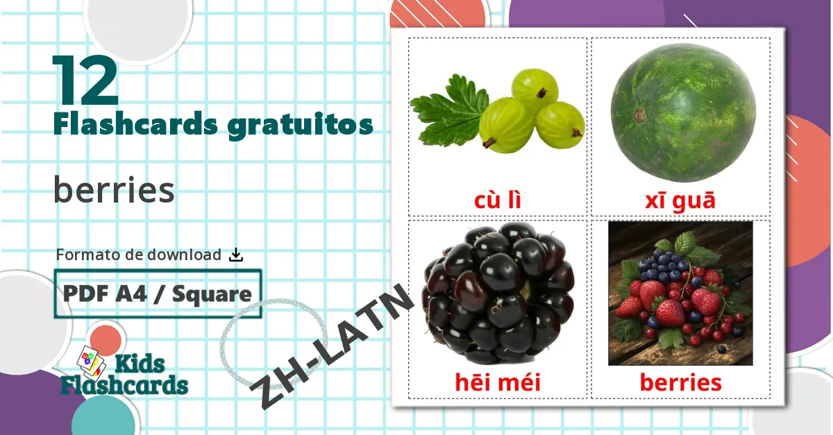 12 Flashcards de Jungle animals