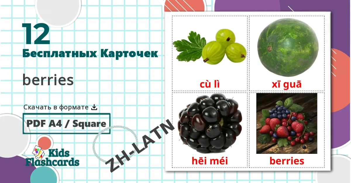 12 Карточки Домана Ягоды