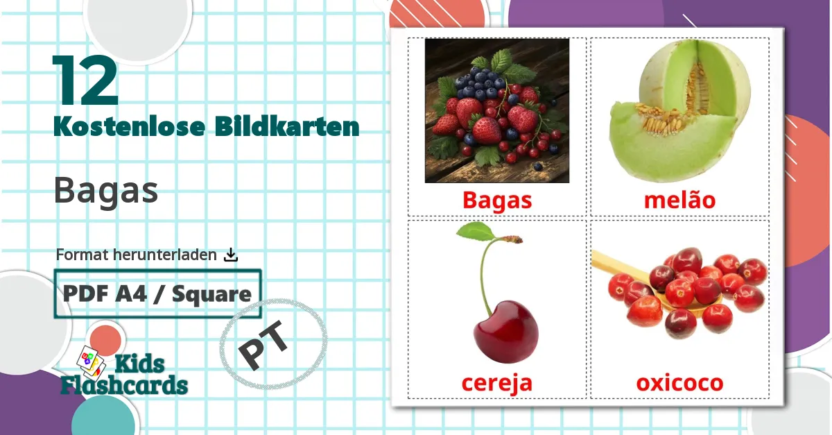 12 Bildkarten für Bagas