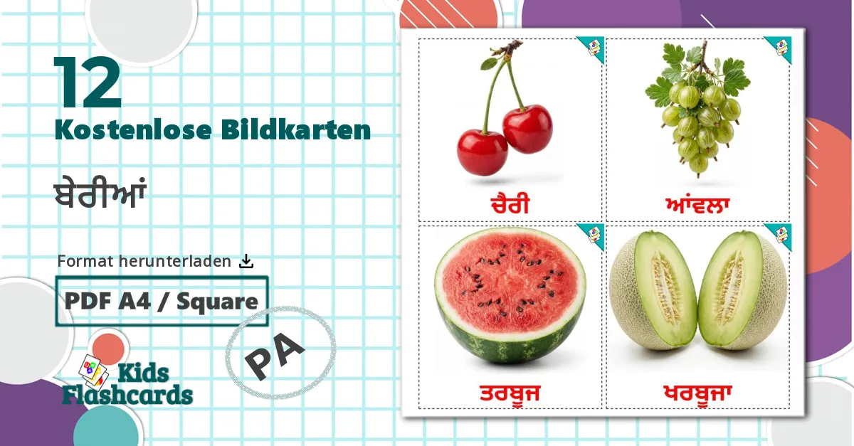 12 Bildkarten für Beerenobst