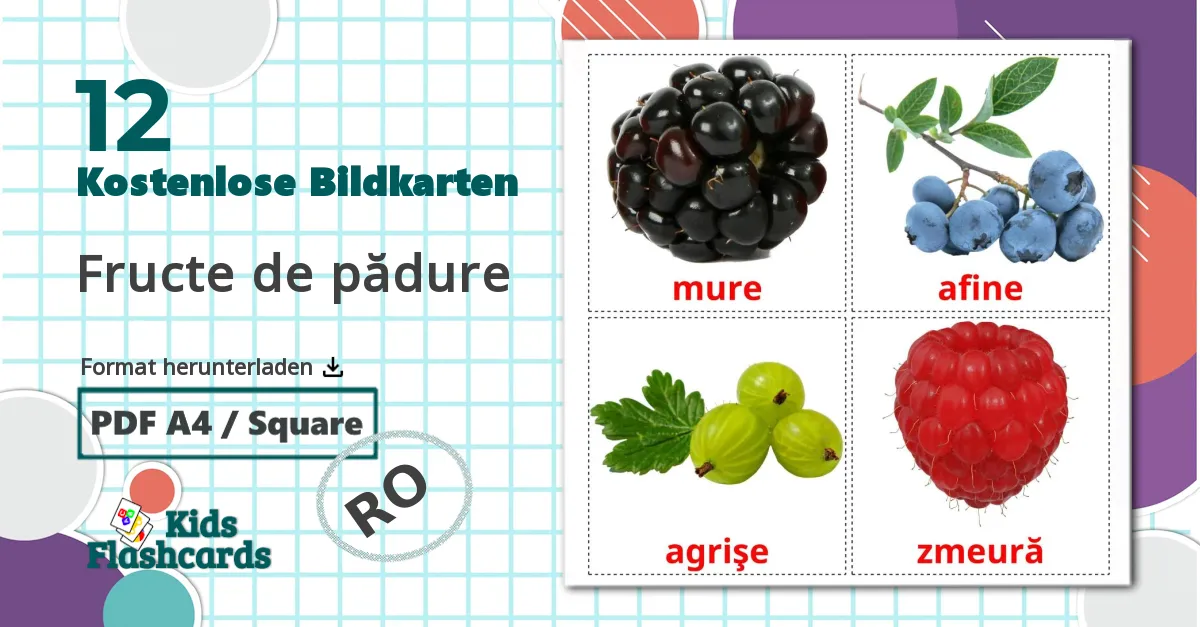 12 Bildkarten für Fructe de pădure