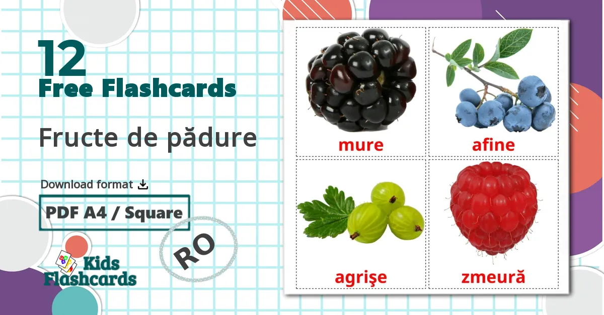 12 Fructe de pădure  flashcards