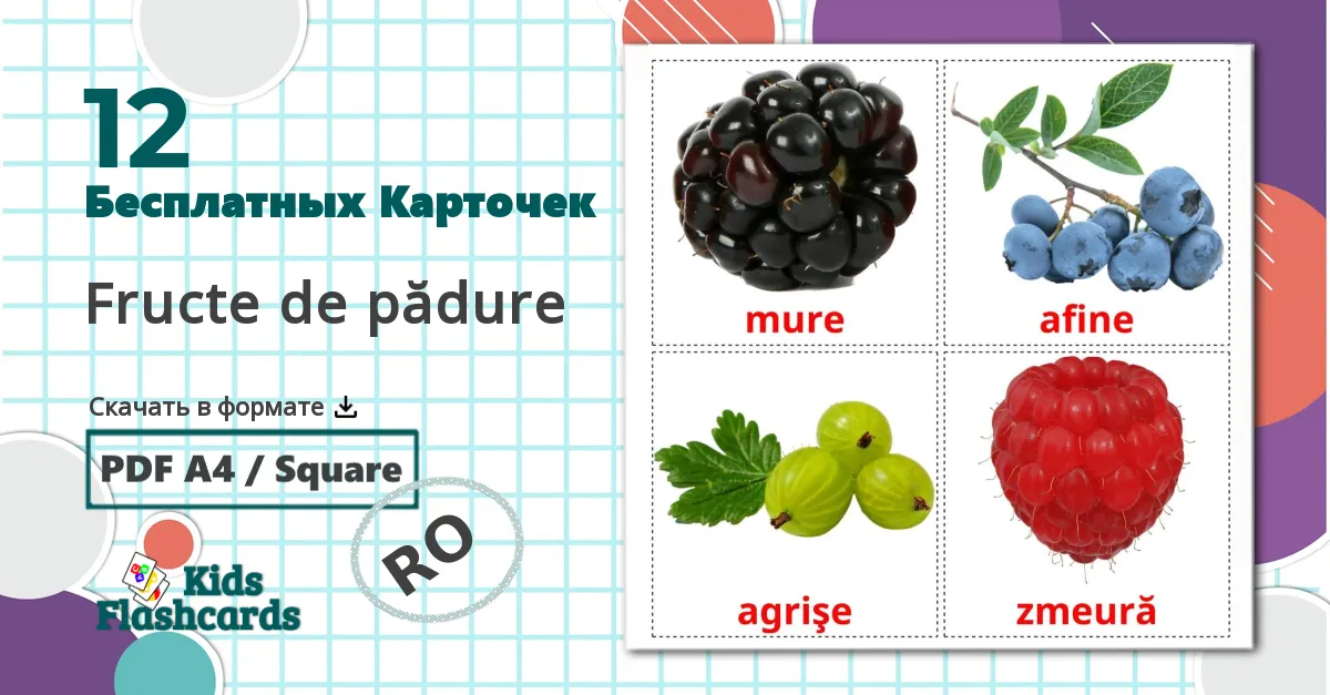 12 Карточки Домана Fructe de pădure