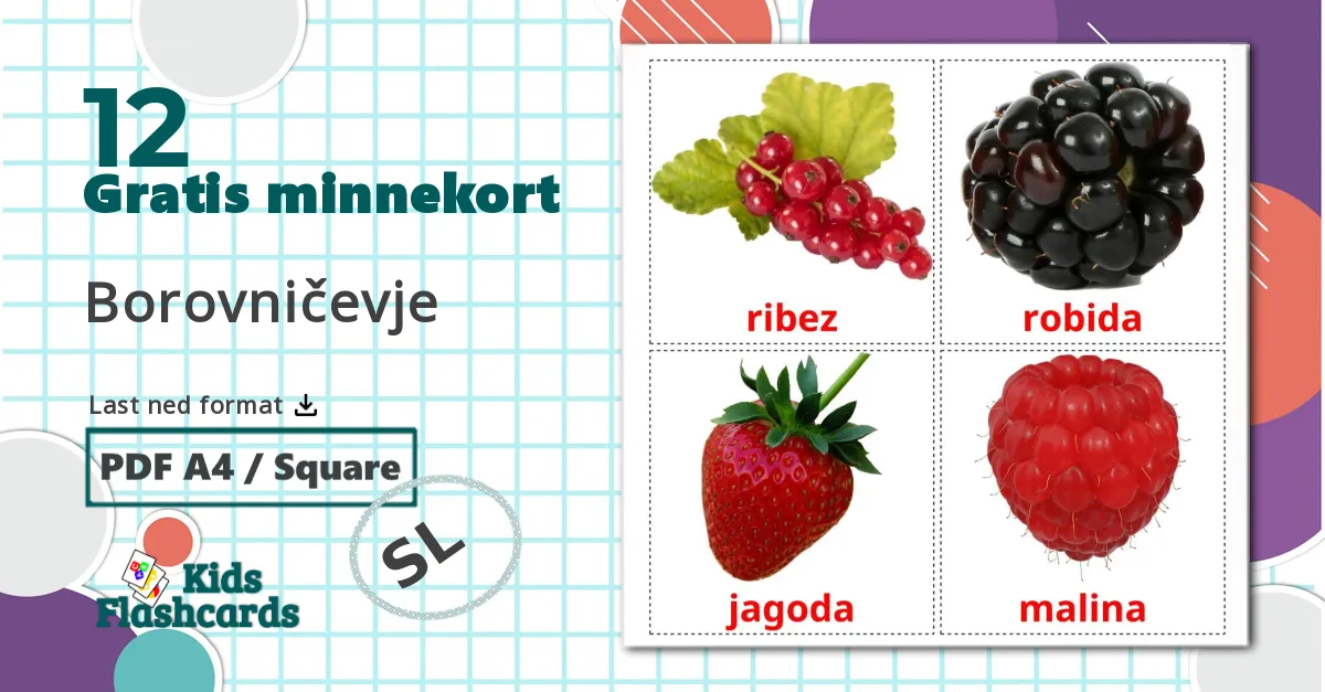 12 Borovničevje bildekort