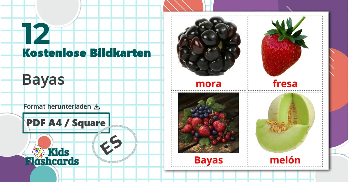 12 Bildkarten für Bayas