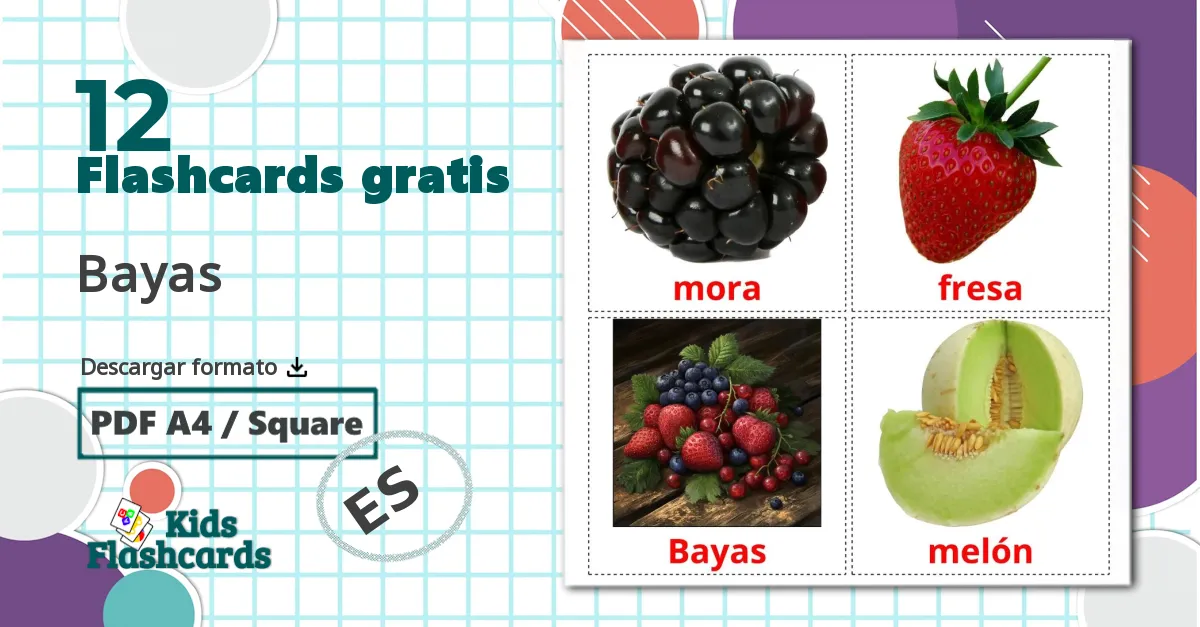 12 tarjetas didacticas de Bayas