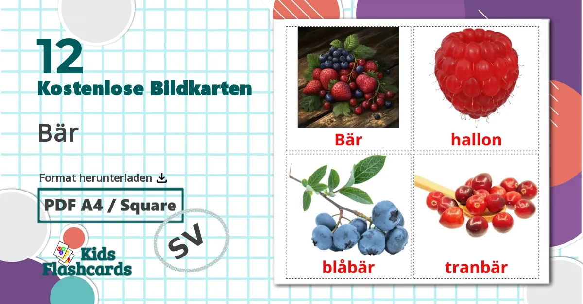 12 Bildkarten für Bär