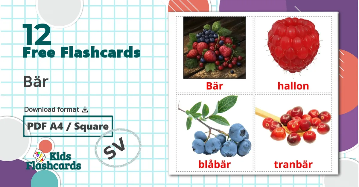 12 Bär flashcards