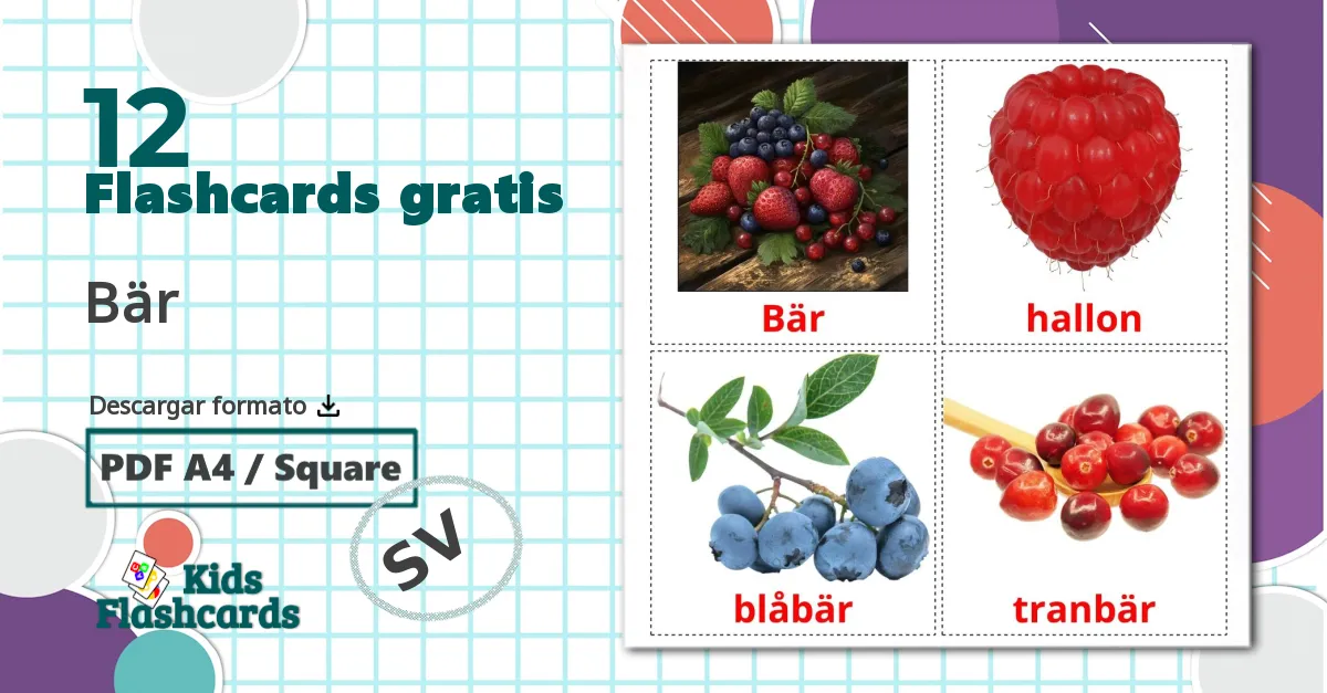 12 tarjetas didacticas de Bär