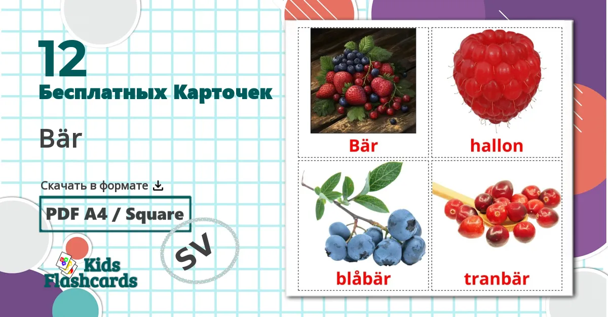 12 Карточки Домана Bär