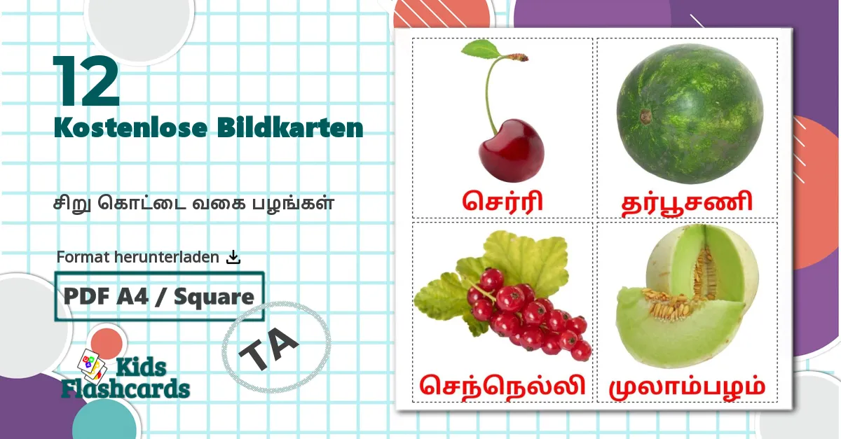 12 Bildkarten für சிறு கொட்டை வகை பழங்கள்