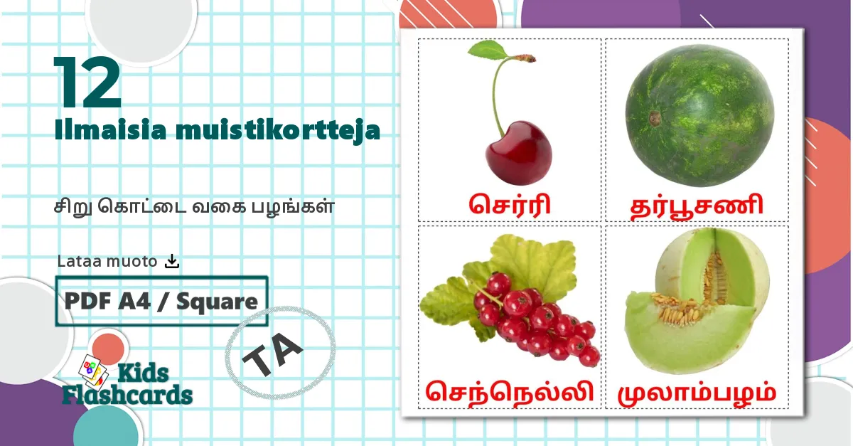 12 சிறு கொட்டை வகை பழங்கள் lasten kuvakortit