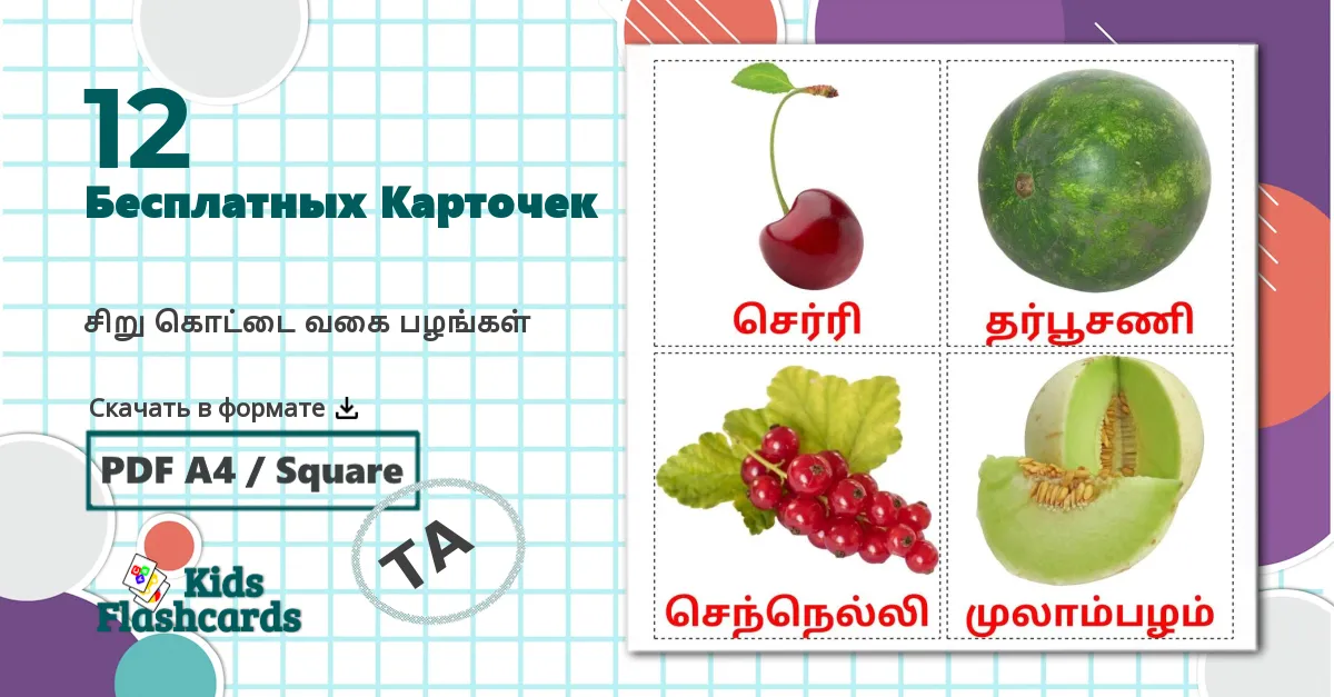 12 Карточки Домана சிறு கொட்டை வகை பழங்கள்