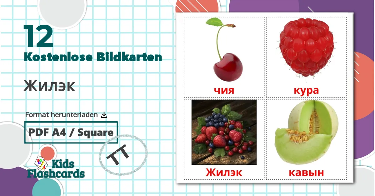 12 Bildkarten für Жилэк