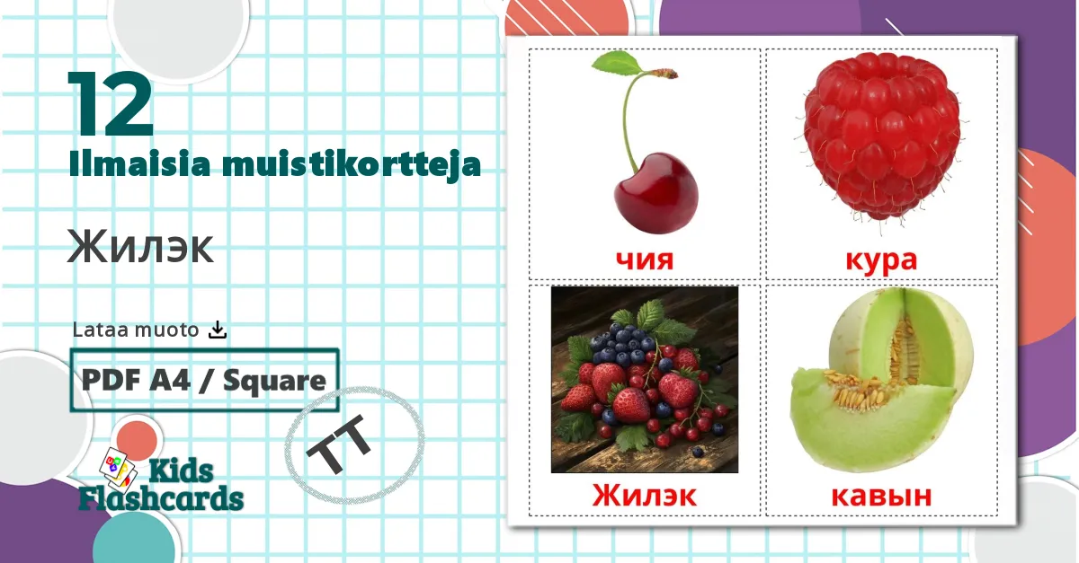 12 Жилэк lasten kuvakortit