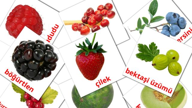 1300+ FREE Turkish Flashcards | PDF | Picture Vocabulary