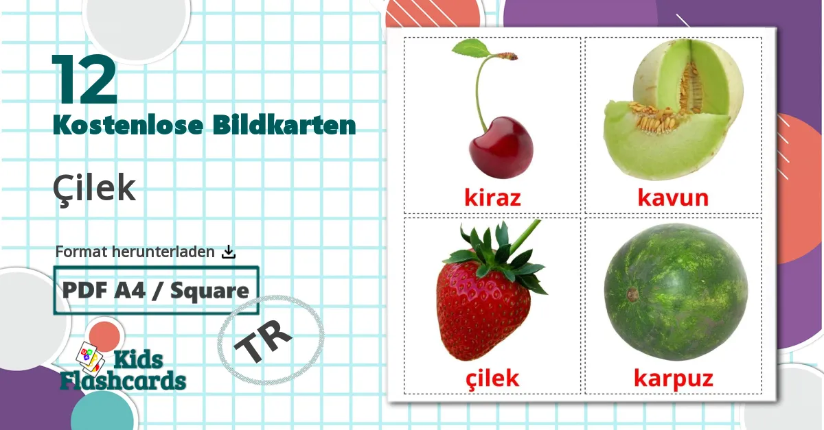 12 Bildkarten für Çilek