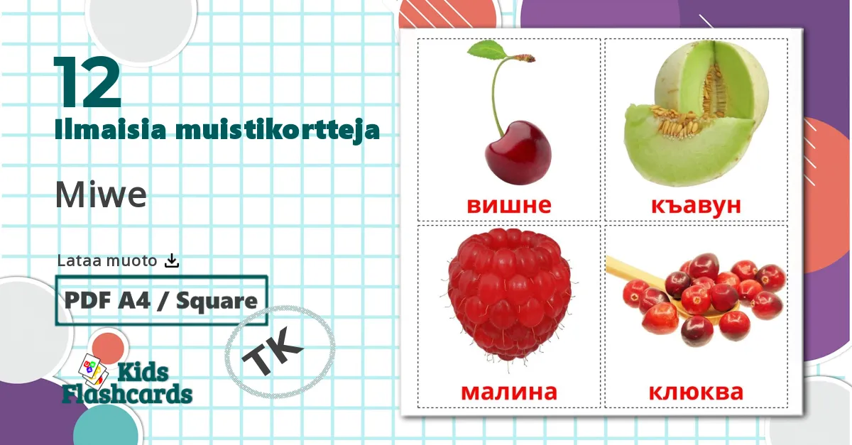 12 Miwe lasten kuvakortit
